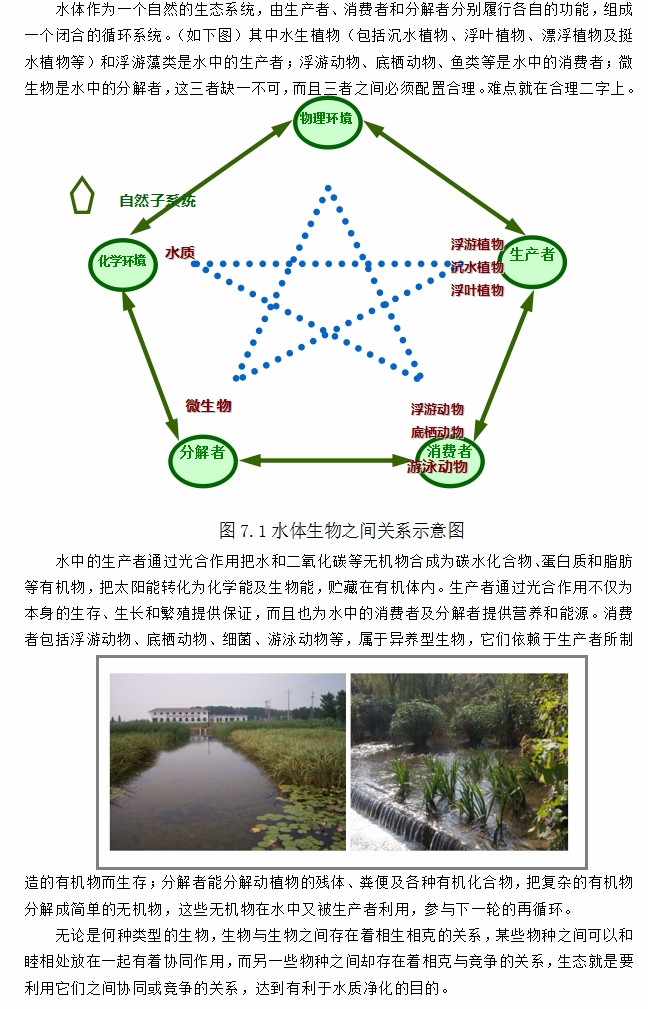7、河道治理：水生態(tài)技術(shù).jpg